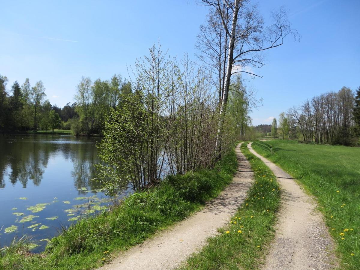 Отель Fischhof Beer Mitterteich Экстерьер фото