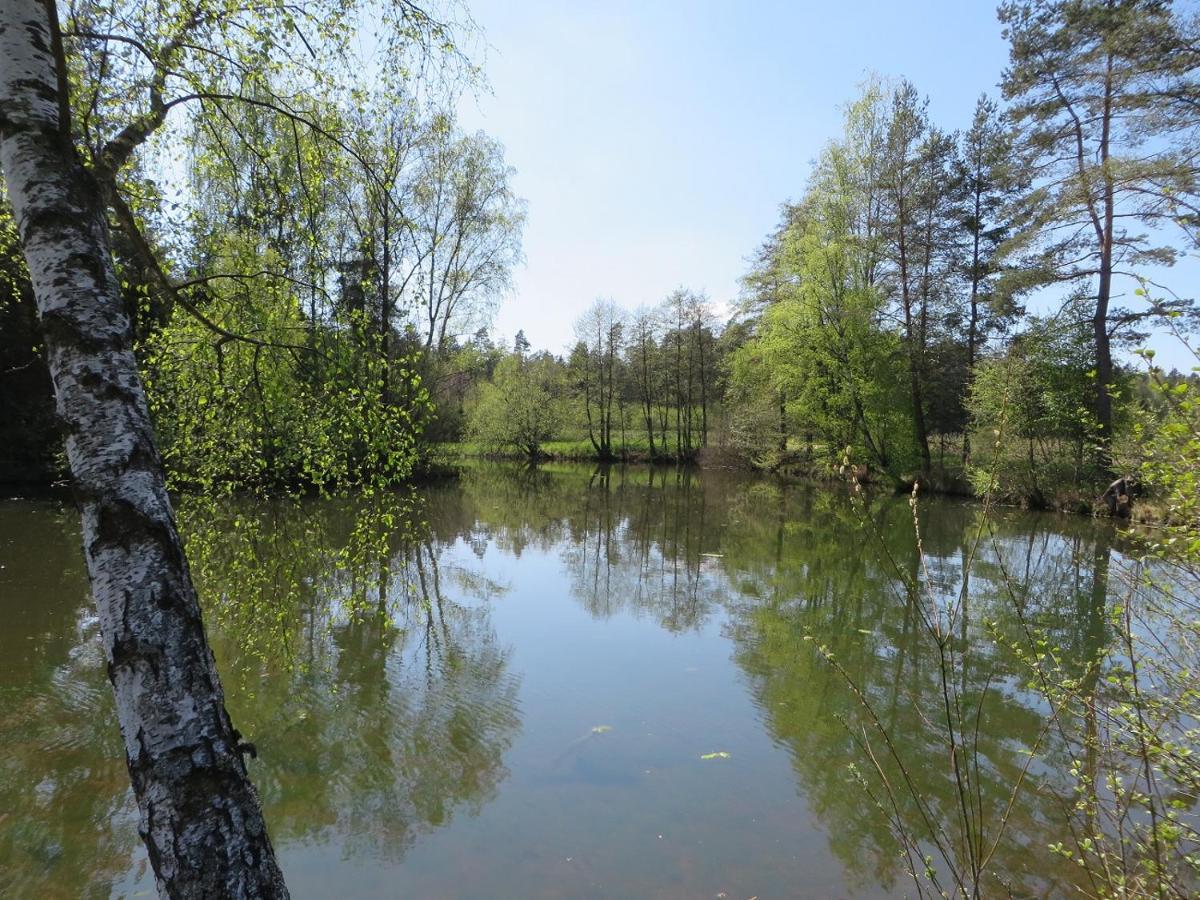 Отель Fischhof Beer Mitterteich Экстерьер фото